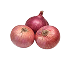 Onion